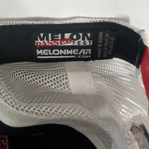 Minnesota Twins Baseball MelonWear Hat Cap Mens Blue White Mesh Adjustable Size - Picture 4 of 8